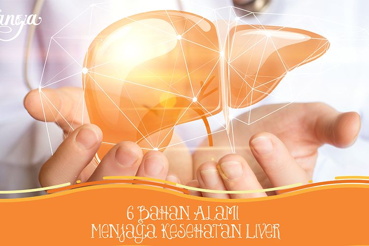 Menjaga Kesehatan Liver